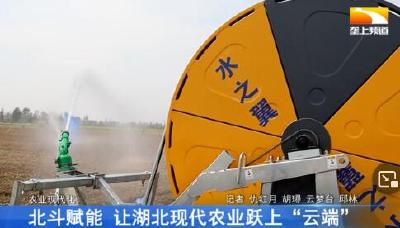 北斗赋能 让湖北现代农业跃上“云端”