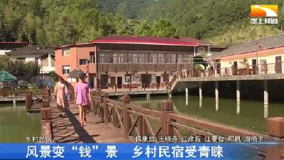 风景变“钱”景 乡村民宿受青睐