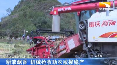 “荆”彩丰收节｜稻浪飘香 机械抢收助农减损稳产