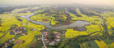 全国农产品生产贡献力百强县名单揭晓 湖北8地上榜