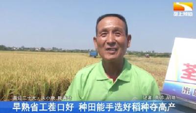 荆”彩丰收节｜早熟省工茬口好 种田能手选好稻种夺高产