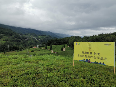 湖北省建成4个全国级邮政农产品基地