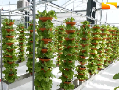 智慧农业助力恩施高山蔬菜俏销全国