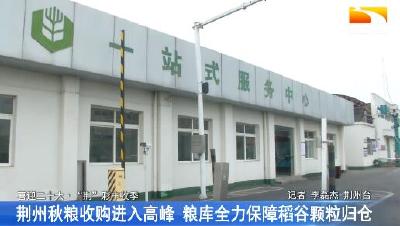 荆州秋粮收购进入高峰 粮库全力保障稻谷颗粒归仓