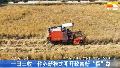 一田三收 种养新模式叩开致富新“稻”路
