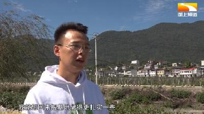 90后海归回乡创业 变身田间电商达人