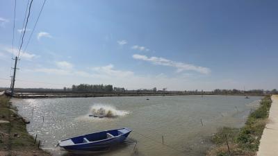 重关税浪潮下的中国渔业：深海突围与产业涅槃