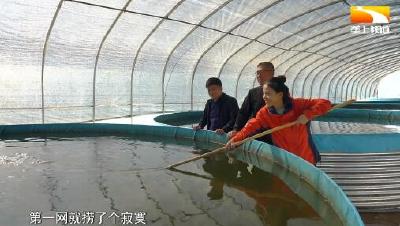 第一书记“兴”行动：东腔戏里唱振兴 付家庙巧变“富佳妙”