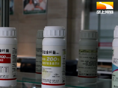 湖北唯一！国家植保微生物种质资源库（湖北）正式运行