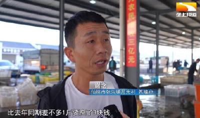 仙桃黄鳝迎来“黄金季” 交易旺加工忙