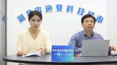 小龙虾