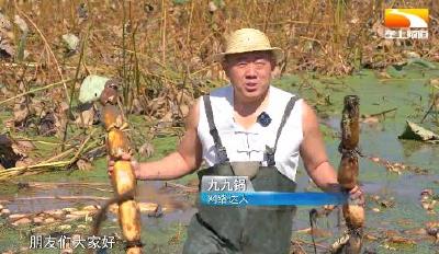 公益助农直播400多场次 “九九锅”为家乡农产品代言