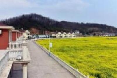 松滋市移民村因地制宜强产业 移民家门口致富