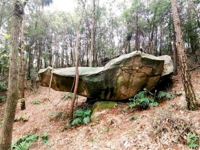 大别山区天降一座奇石馆 猪头石曾见证先辈红色足迹