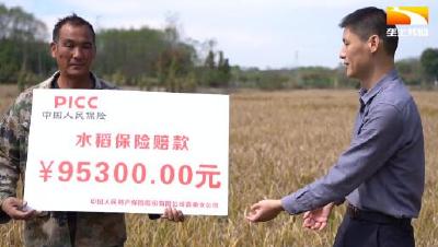 2万农户可获赔近600万 农业保险送来“及时雨 ”