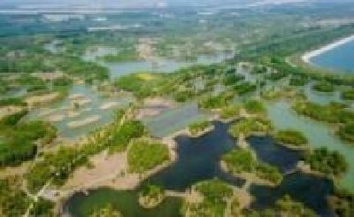 湖北将建立湿地保护考核及约谈机制
