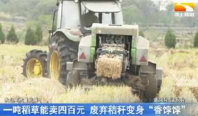 一吨稻草能卖四百元 废弃秸秆变身“香饽饽”