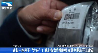 建起一座种子“方舟”！湖北省农作物种质资源中期库开工建设
