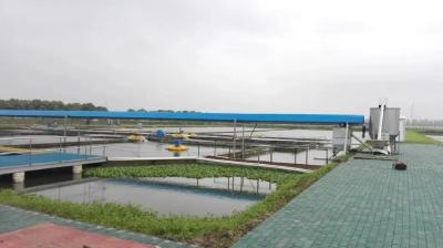 科研创新！池塘生态高效养殖新方式