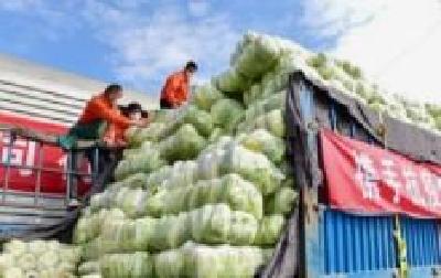 蔬菜日采收5446吨 生猪存栏138万头 武汉“菜篮子”供应充足