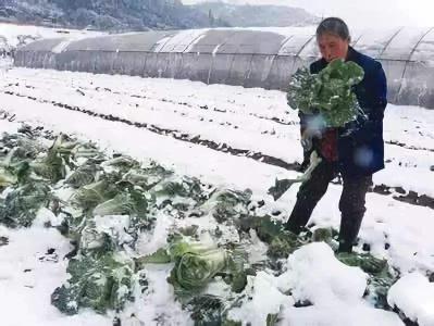 湖北省农业气象灾害风险预警