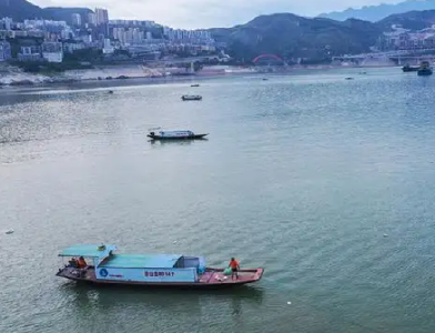 “四大家鱼”卵苗发生量增长20倍 “十年禁渔”让长江流域生态向好
