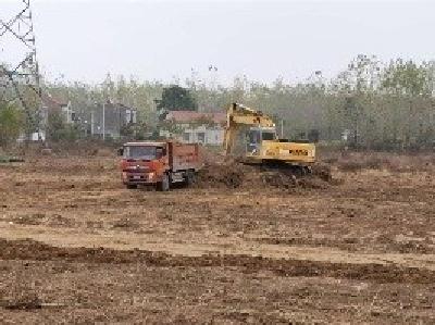 应城：打造特色种养殖基地，以产业振兴助推乡村振兴