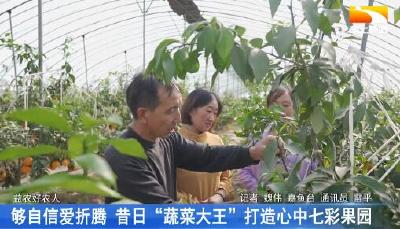 够自信爱折腾 昔日“蔬菜大王”打造心中七彩果园