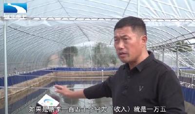 鱼塘里走出“全国劳模” 胡学军带领500多户农户发家致富