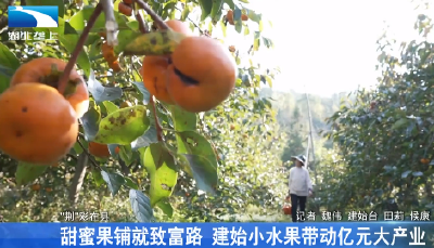 甜蜜果铺就致富路 建始小水果带动亿元大产业