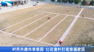 村民共建共享菜园 红花套村打造幸福家园