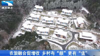 农旅融合促增收 百井村有“颜”更有“值”