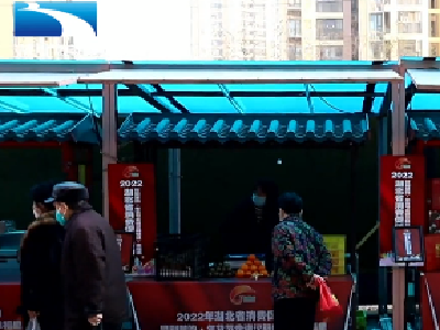 家门口就有好味道 “荆楚购·年货节”启动 
