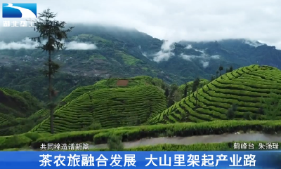 茶农旅融合发展 大山里架起产业路