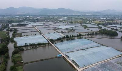 省水产技术推广总站发布《湖北省水产养殖越冬管理措施》