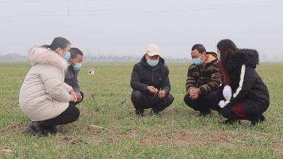 襄州：推进高素质农民培训 助力乡村人才振兴