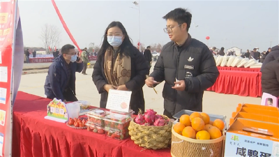 荆州江陵年货节按下全域旅游“启动键”