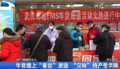 年货踏上“春运”旅途 “汉味”特产受亲睐