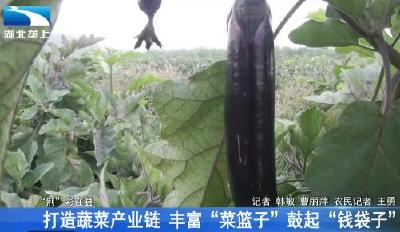 打造蔬菜产业链 丰富“菜篮子”鼓起“钱袋子”