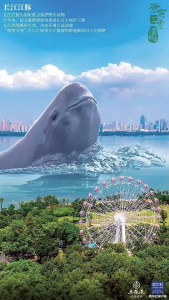 湖北武汉建设 “数字江豚” 生态 打造江豚保护新引擎