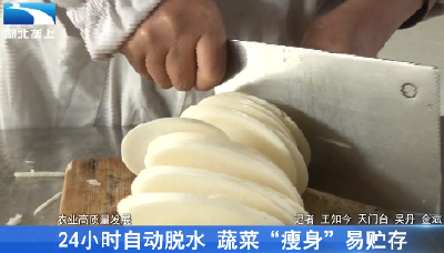 24小时自动脱水 蔬菜“瘦身”易贮存