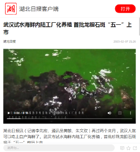 武汉试水海鲜内陆工厂化养殖 首批龙胆石斑“五一”上市