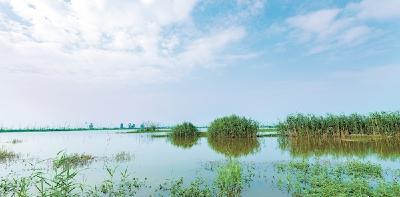 荆州公安崇湖10年修复成国际重要湿地
