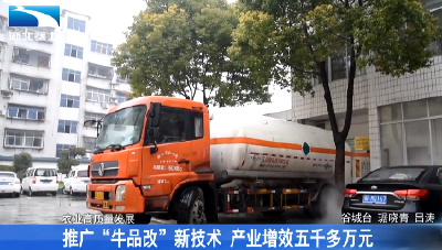 推广“牛品改”新技术 产业增效五千多万元