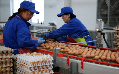 出口量、创汇额均居全国第一 湖北禽蛋产品叫响海外