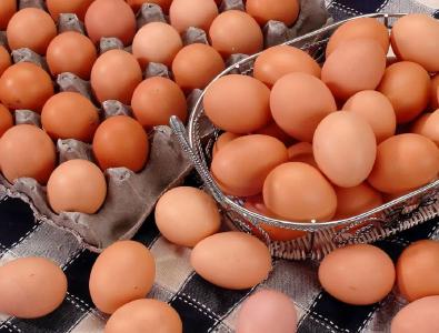鸡蛋变“金蛋”！ 襄城这家企业日产蛋量39万枚