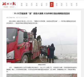 33.21万尾鱼苗“游”进各大湖库 大冶市举行渔业增殖放流活动