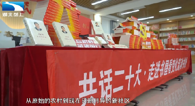 农家书屋变知识“粮仓” 书香飘满千万家