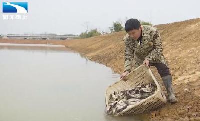 投鱼苗保水源 养殖户“水上春耕”忙