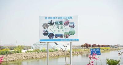 预计突破30万尾！蔡甸沙塘鳢仿生态繁育喜获成功